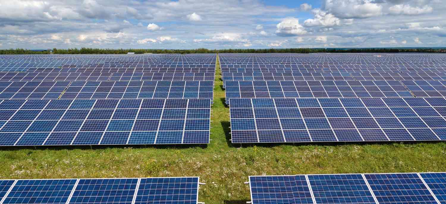 About Rudhra Company